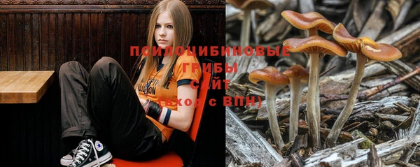 таблы Алзамай