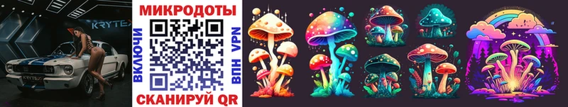 где продают наркотики  Томмот  Псилоцибиновые грибы Cubensis 